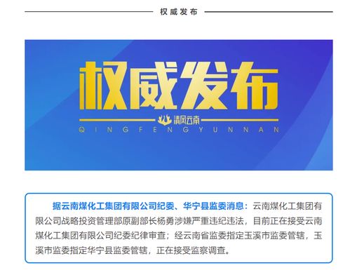 云南煤化工集团战略投资管理部原副部长杨勇接受审查调查